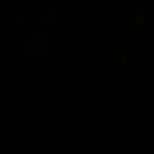 Meet your Posher, Sophia